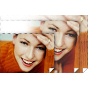Epson Singleweight Matte Paper 36" x 131.7'S041854  