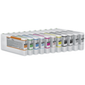 T913900 Epson EPSON UltraChrome HD Light Light Black Ink Car