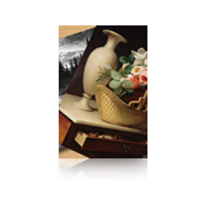 Epson Premium Luster Photo Paper (260) 60" x 100' Ro